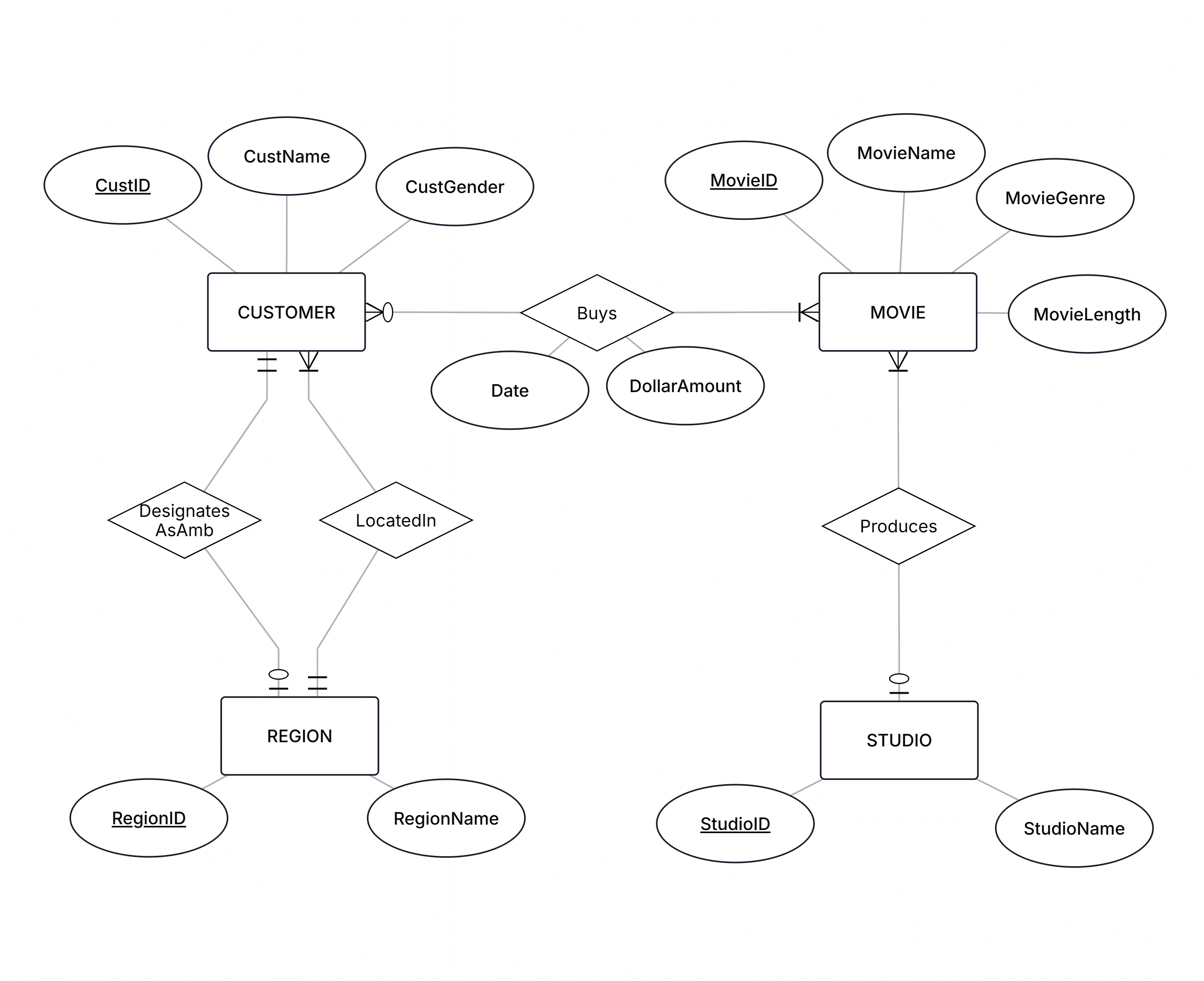 The complete ER Diagram for the TMSC Movie Streaming Company