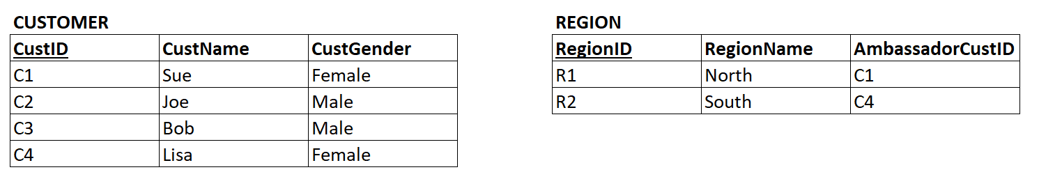 Sample data for the CUSTOMER and REGION relational tables, including the AmbassadorCustID foreign key