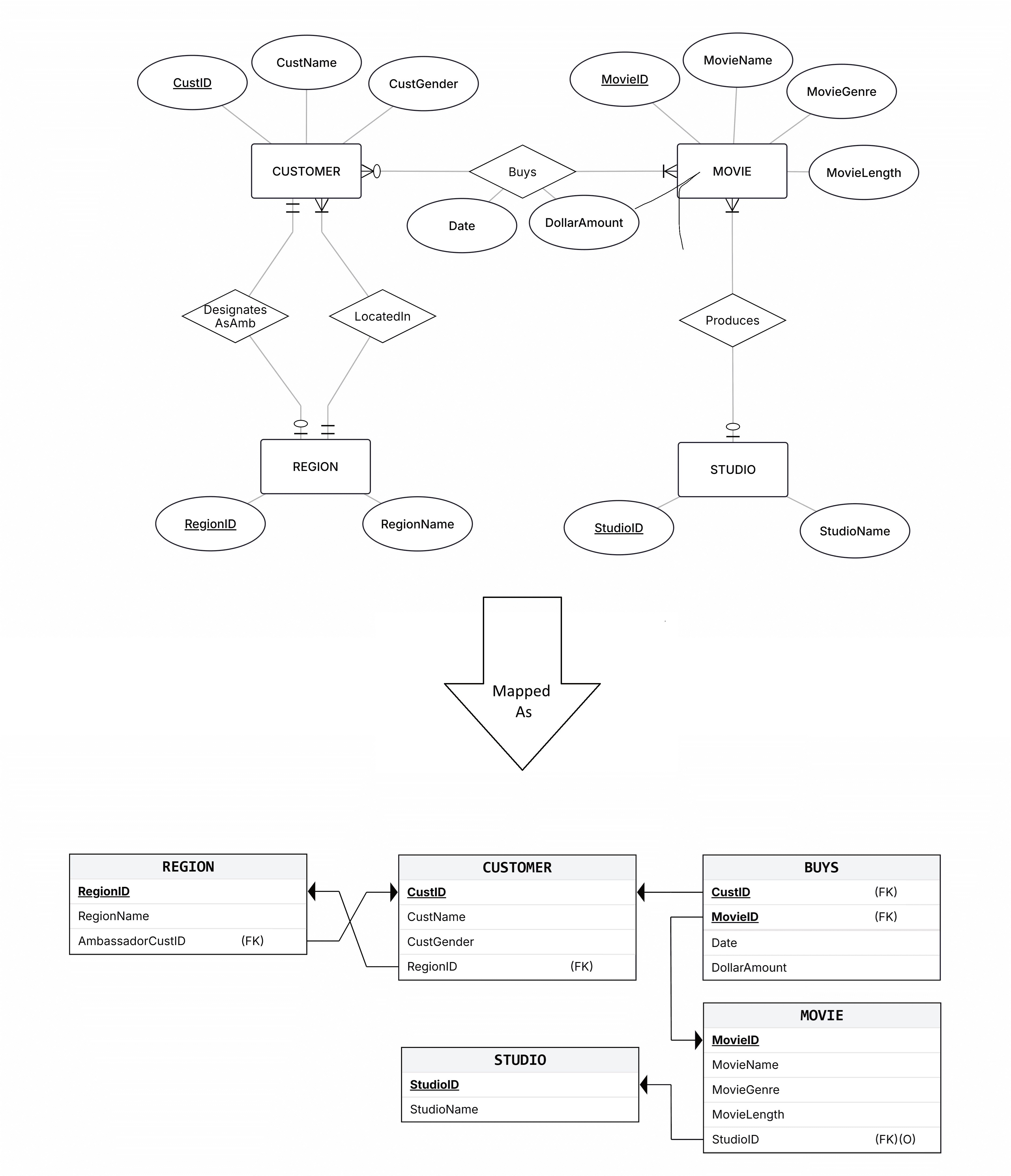 The complete relational schema for the TMSC Movie Streaming Company