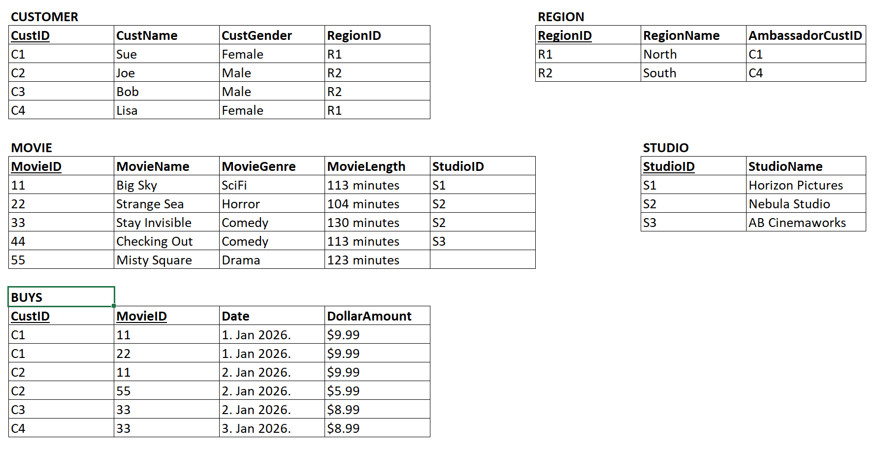 Sample data for all relational tables of the TMSC Movie Streaming Company database